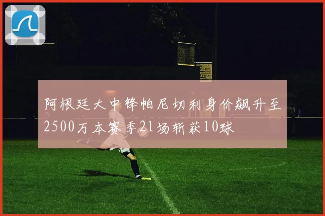阿根廷大中锋帕尼切利身价飙升至2500万本赛季21场斩获10球