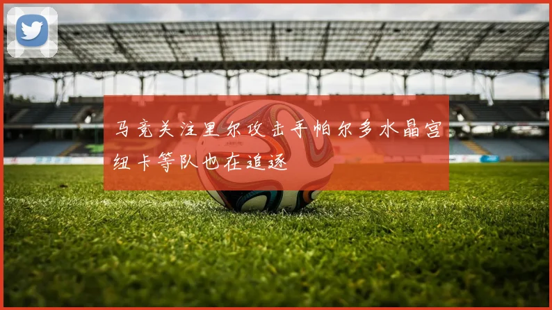 马竞关注里尔攻击手帕尔多水晶宫纽卡等队也在追逐