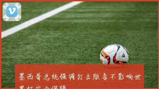 墨西哥总统强调打击贩毒不影响世界杯安全保障