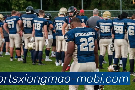 App Interface Preview